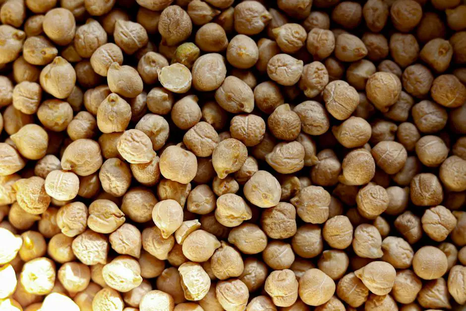 A close-up image of cooked garbanzo beans in a bowl