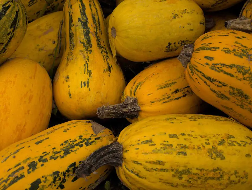 Image of spaghetti squash dish with colorful vegetables on top, representing its nutritional value.